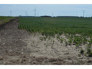 Property photo 12 - 233 +/- Acres Offered in 3 Tracts, Ohio Land Auction